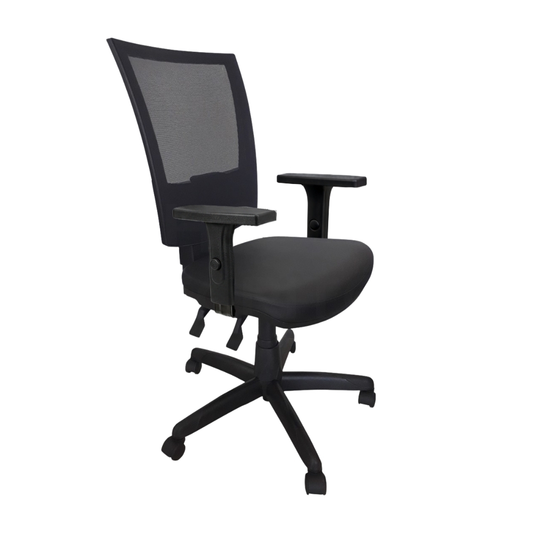 Cadeira Giratória Ergonômica Presidente Tela