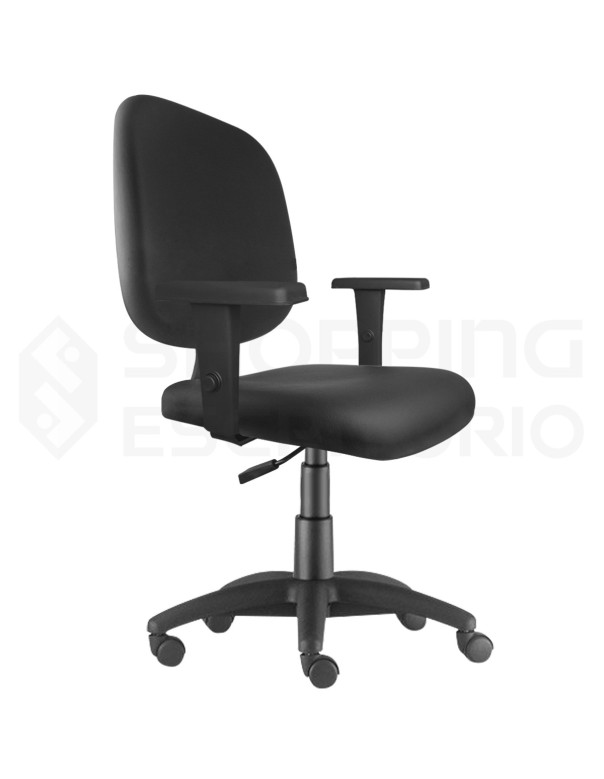 Assento Encosto Diretor