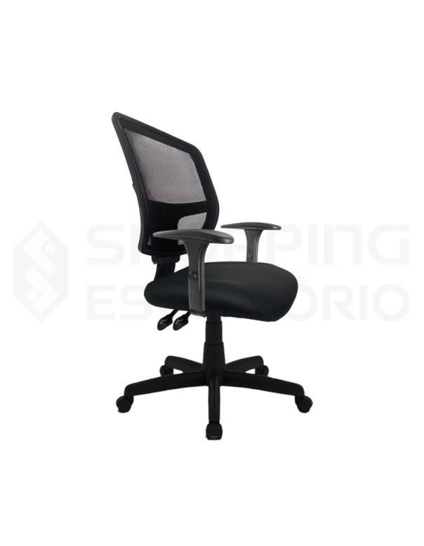Cadeira Gerente nr17 tela eddit